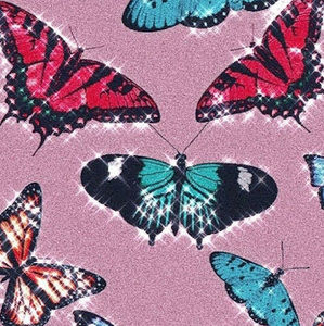 Meet your Posher, Kennedy